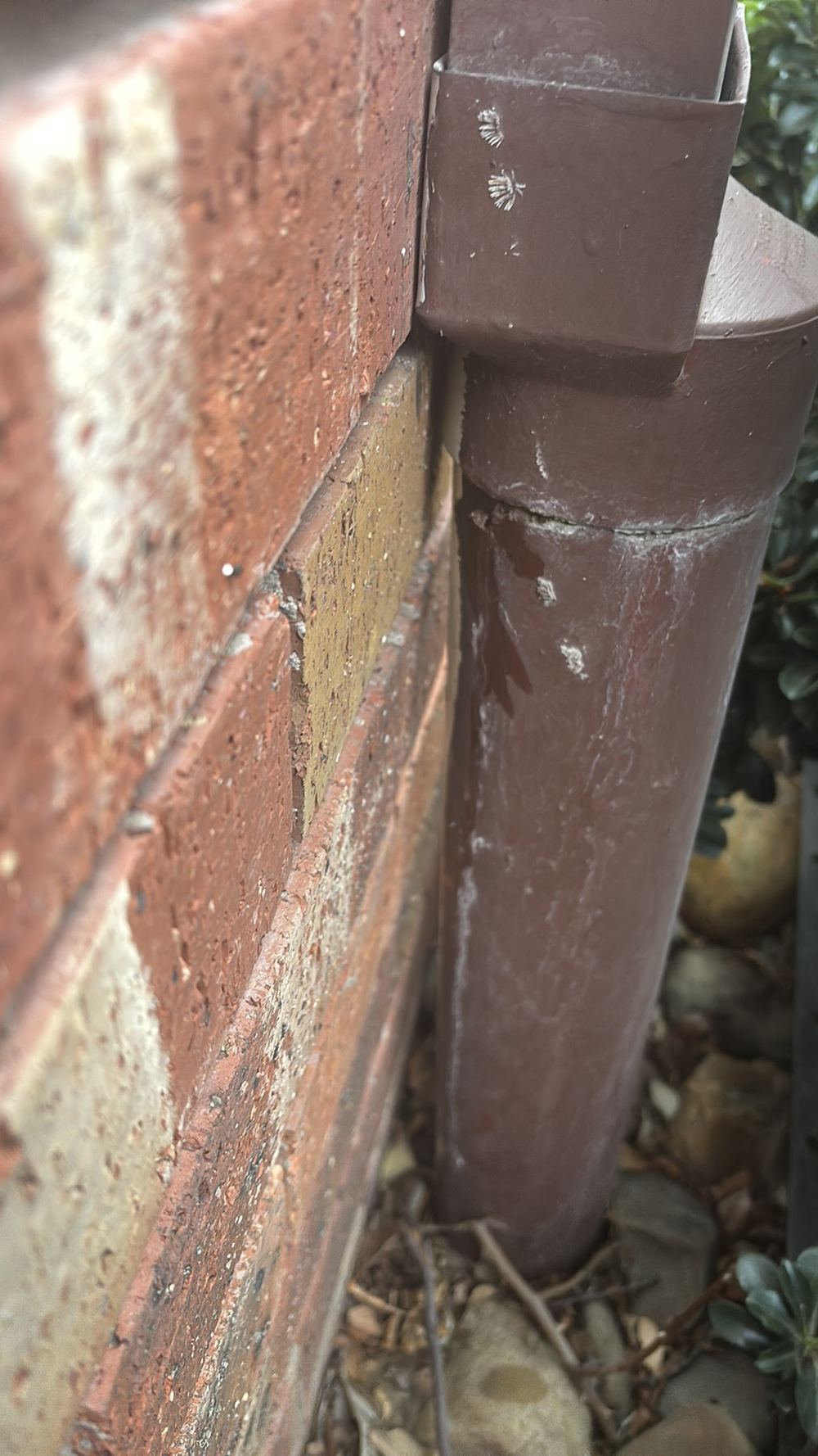 Downpipe discharging onto the ground beside the footings, found during a pre-purchase inspection in Westmeadows