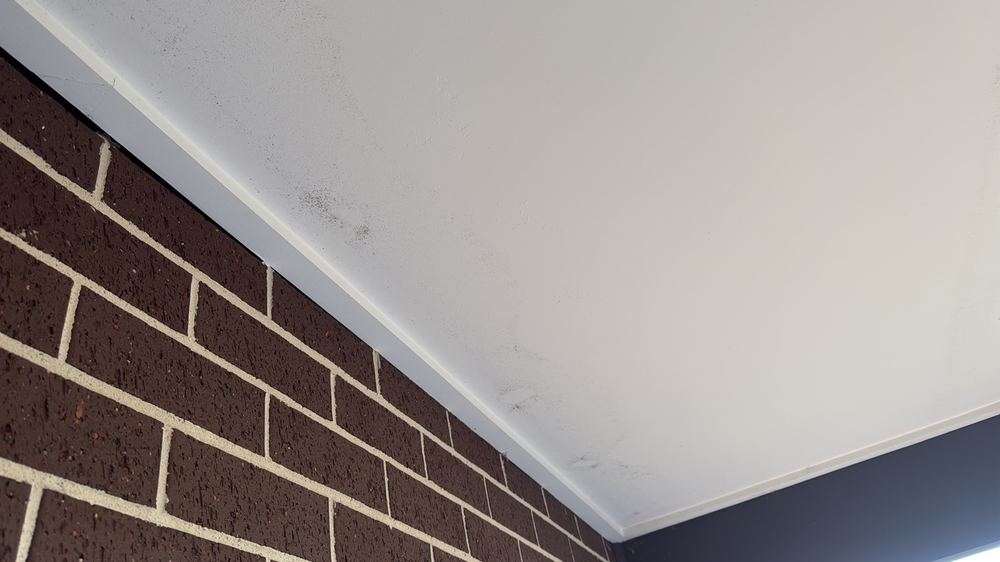 Mould and ventilation in a Sunbury rental